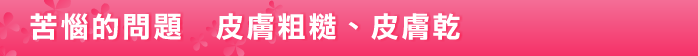 お悩み別　肌荒れ・乾燥肌